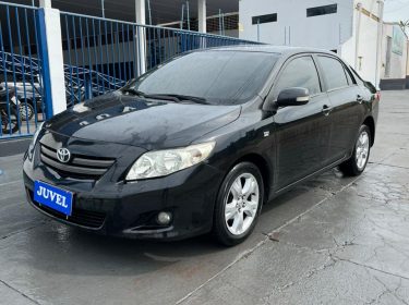 WhatsApp Image 2025-10-14 at 09.00.04