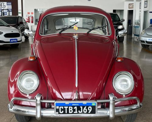 WhatsApp Image 2026-01-21 at 11.29.48 (1)