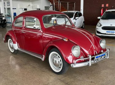 WhatsApp Image 2026-01-21 at 11.29.48