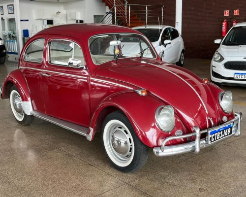 WhatsApp Image 2026-01-21 at 11.29.48