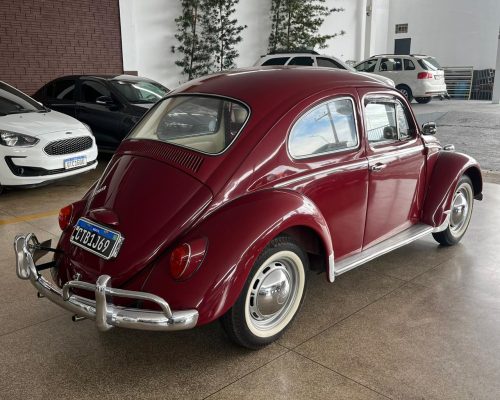 WhatsApp Image 2026-01-21 at 11.29.49 (1)