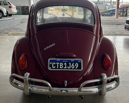 WhatsApp Image 2026-01-21 at 11.29.49