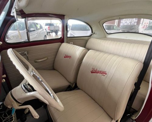 WhatsApp Image 2026-01-21 at 11.32.21