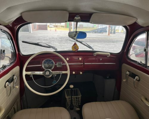 WhatsApp Image 2026-01-21 at 11.32.22